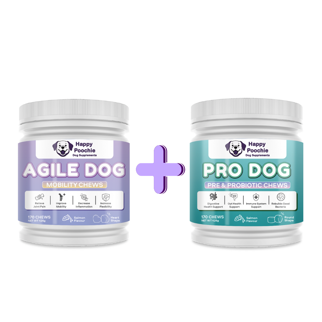 Dynamic Duo - Agile Dog & Pro Dog